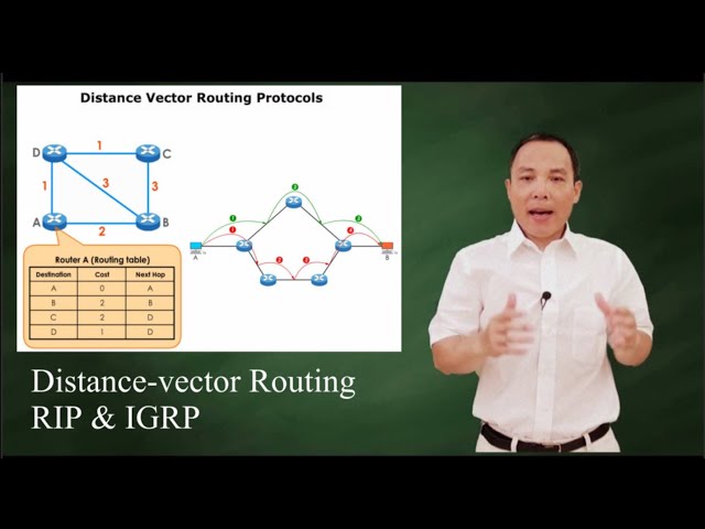 Distance vector routing protocols:  RIP and IGRP