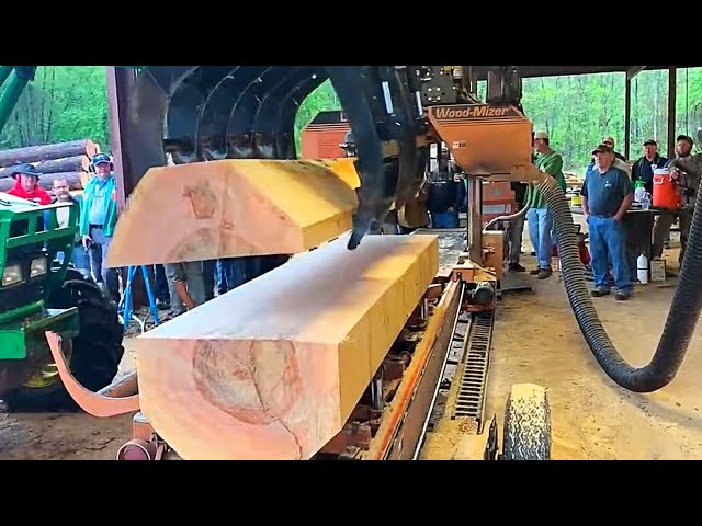 Take A Look Inside This Massive Sycamore! Epic Lumber