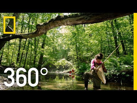 Canada's Wild Rivers - 360 | Into Water