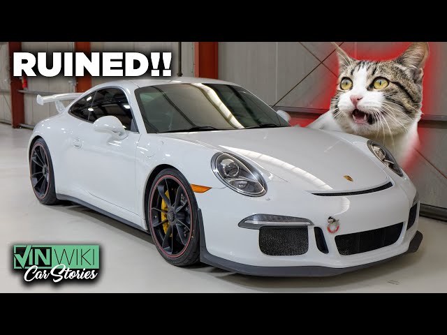 How a cat destroyed my GT3…