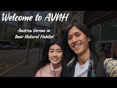 AVNH (Andrew Verene in their Natural Habitat)