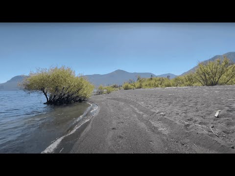 Nature walk // Virtual Hike in 4k by CandRfun