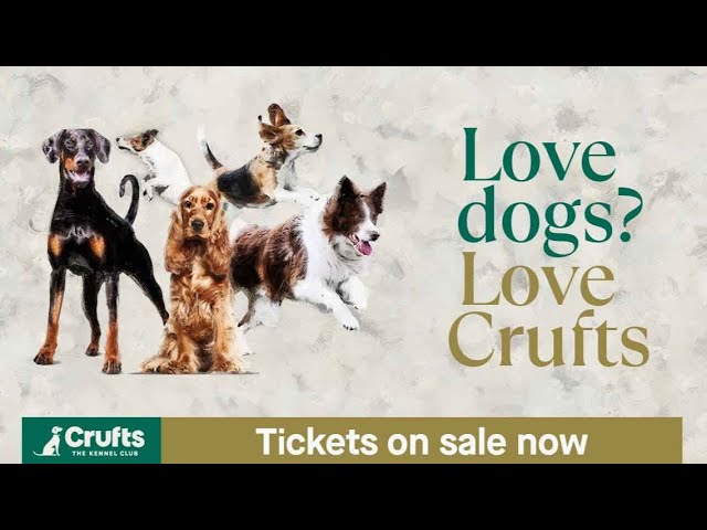Tickets for Crufts 2024 are on sale NOW!