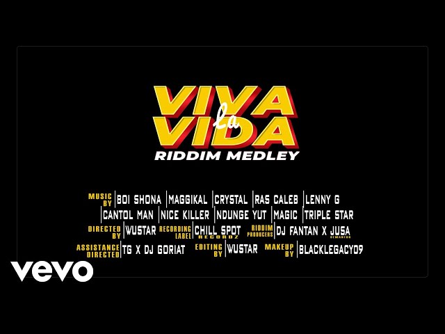 Chillspot Records - Viva la Vida Riddim Medley {Official Video}