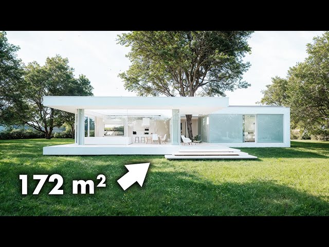amazing modern house built around a tree | WALKTHROUGH & FLOOR PLAN
