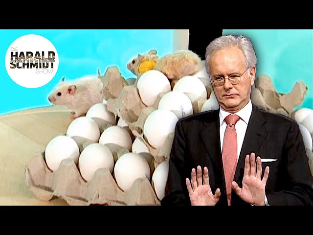 Harald, Hamster & Hausschuhe | Die Harald Schmidt Show (ARD)