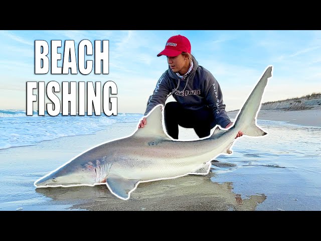 SHARK Fishing the BEACH with BlacktipH