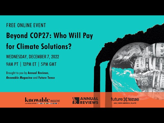 Beyond COP27: Who will pay for climate solutions?