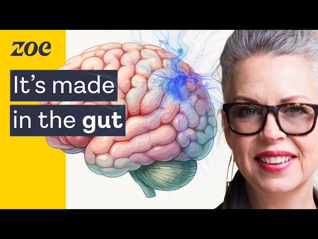 How gut microbes regulate your mood | Prof. Felice Jacka