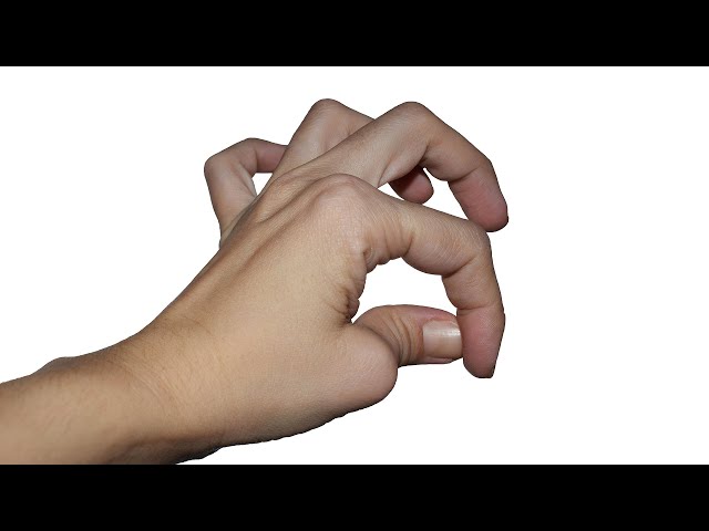 LITERALLY A PICTURE OF A HAND | Hand Simulator w/ JackSepticEye and Pokimane