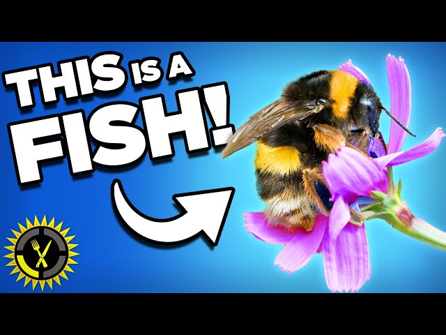Food Theory: Bees are Fish