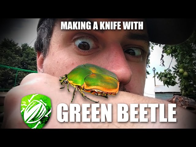Making a Knife with Green Beetle FOR CHARITY