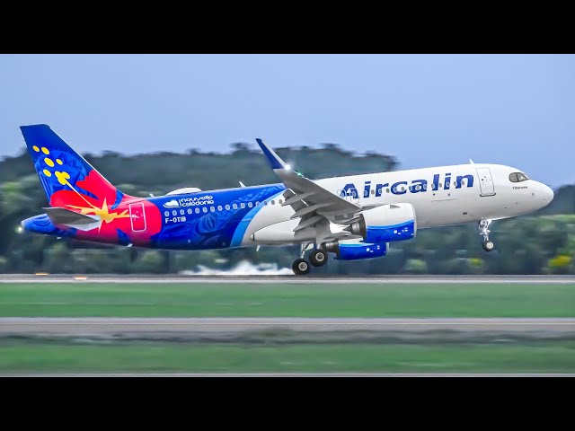 40 EPIC LANDINGS from UP CLOSE | Brisbane Airport Plane Spotting [BNE/YBBN]