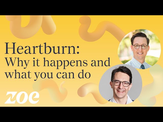 Heartburn: Why it happens and what you can do | Dr Will Bulsiewicz
