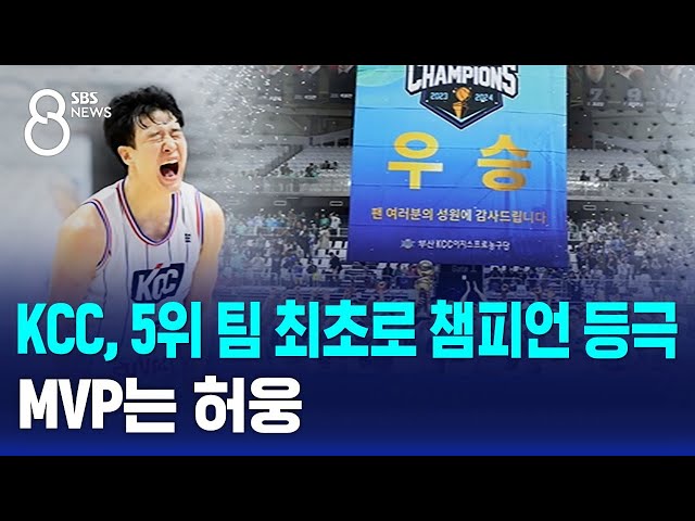 KCC, 5위 팀 최초로 챔피언 등극…MVP는 허웅 / SBS 8뉴스