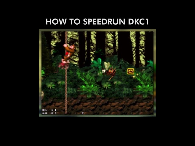 How to speedrun Donkey Kong Country!