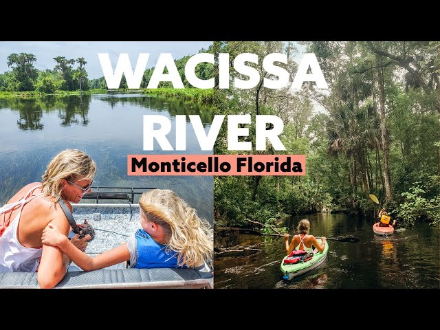INCREDIBLE adventures down the Wacissa River, Fl (airboat and kayak)