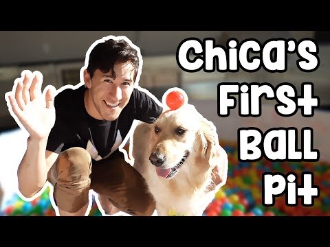 Chica's First Ball Pit