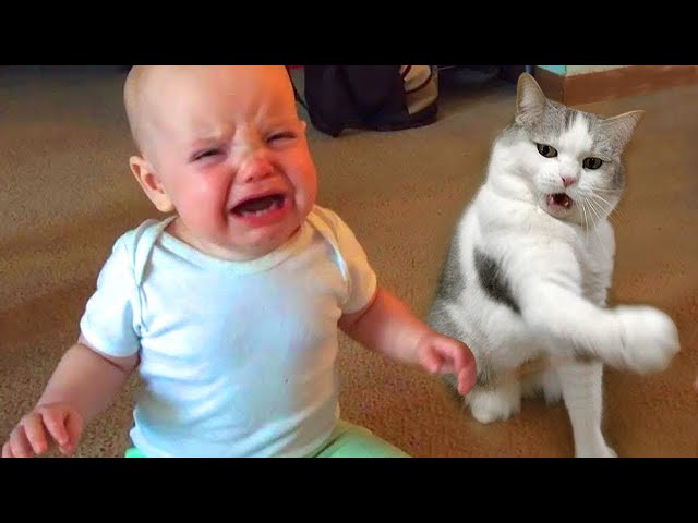 🔴 [LIVE] A MUST - 30 minutes Funniest Babies Play With Cats for the First Time || Just Laugh