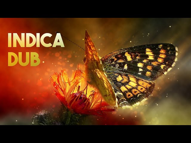 PsyDub Mix - Indica Dub (Psychedelic Dub | 2023)