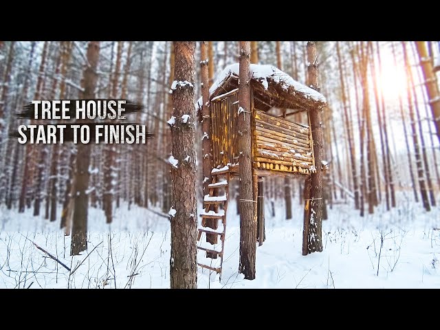 Building a tree house in harsh weather conditions. From start to finish.