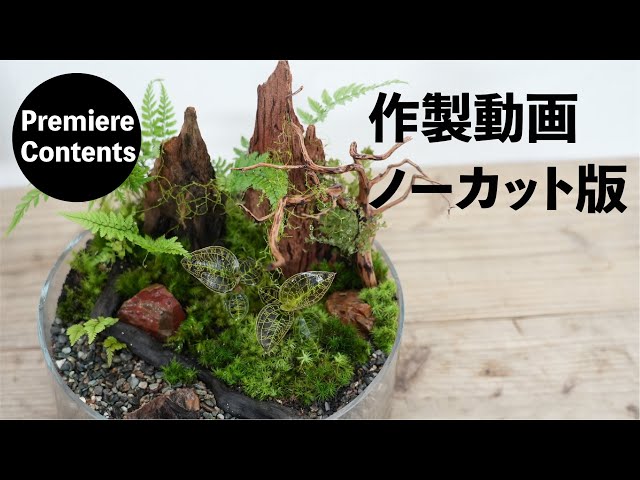 [Premier Content] Create a planting project for Jewel Orchid magazine photoshoot