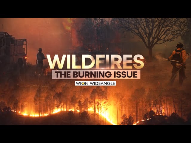 Wildfires: The burning issue | WION Wideangle