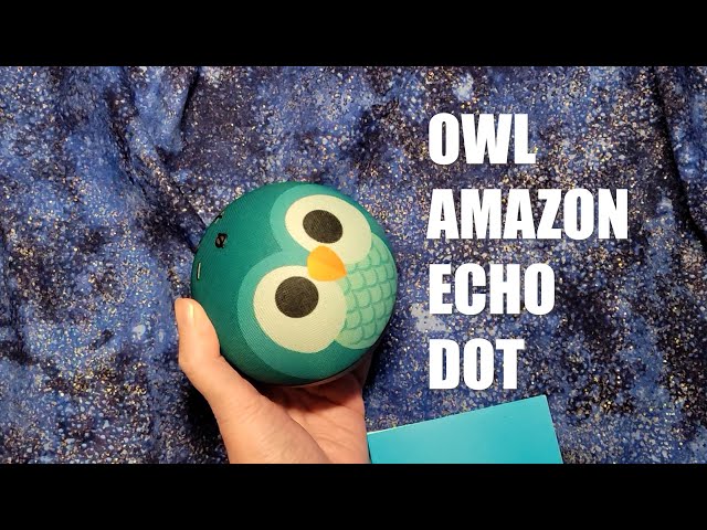 Owl Amazon Alexa Dot - Unboxing Setup and Review