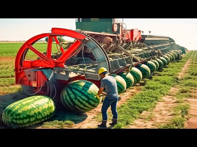 I watched this video 1000 times! These agricultural machines will leave farmers unemployed!