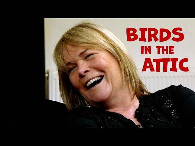 Cash in the Celebrity Attic – Linda Robson