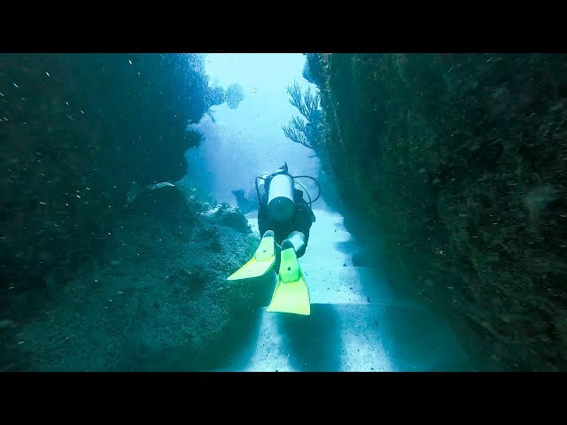 Scuba Diving in Punta Cana (GoPro)