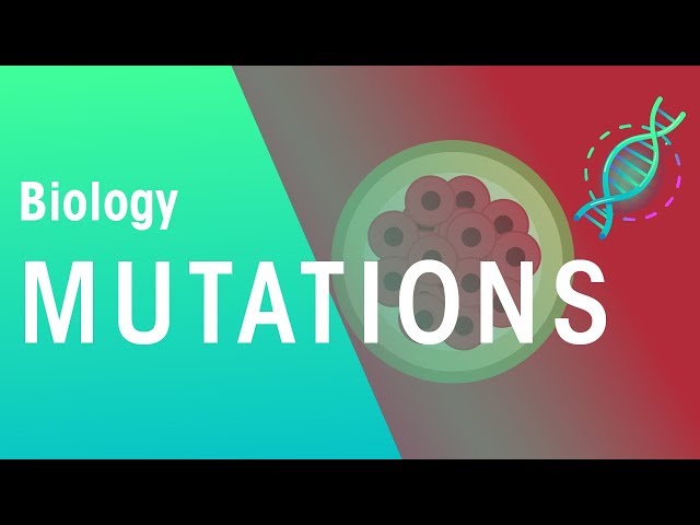 Mutations | Genetics | Biology | FuseSchool