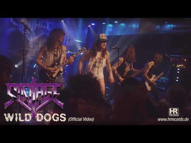 Sintage - Wild Dogs (Official Video)