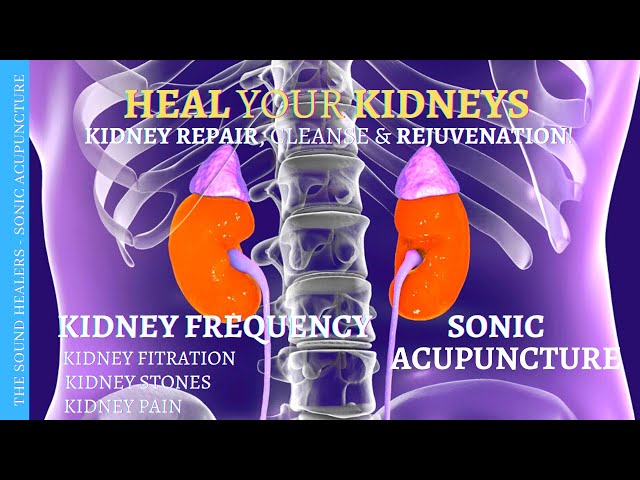 HEALTHY KIDNEY ➤Kidney Filtration ➤Kidney Function Repair ➤Kidney Cleanse ➤Sound Therapy ➤ Binaural