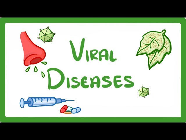 GCSE Biology - What Is a Virus? - Examples of Viral Disease (HIV, Measles & TMV)  #36