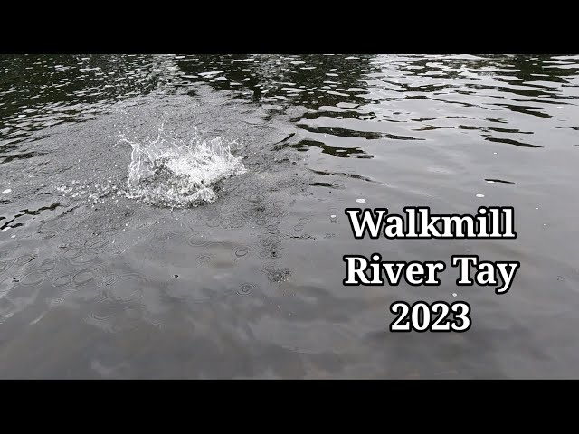 Salmon Fishing Scotland River Tay 2023 ONE LOST!!!!!