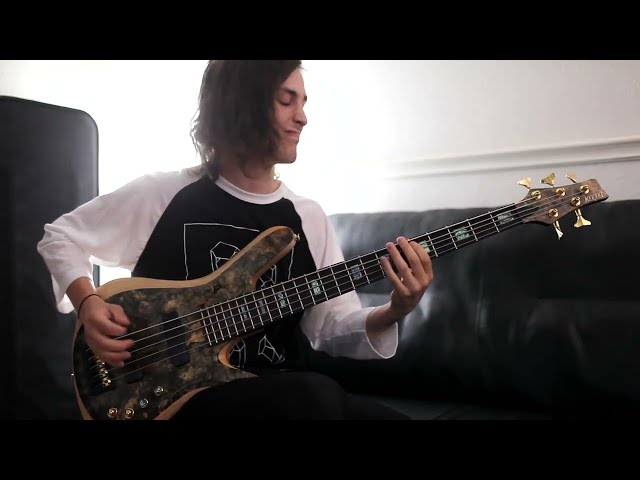 Only Clay Gober No Tim Henson (Bassist of Polyphia)