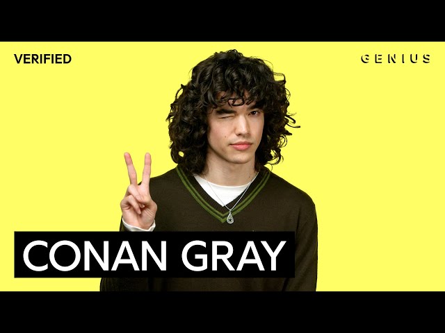 Conan Gray "Alley Rose" Official Lyrics & Meaning | Genius Verified