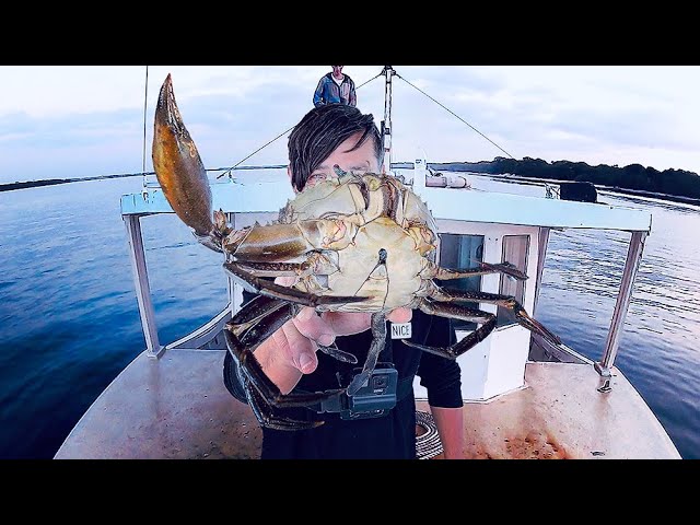 Barehanded Mud Crab Catch And Cook Feast - On A Salvaged Ex-Trawler