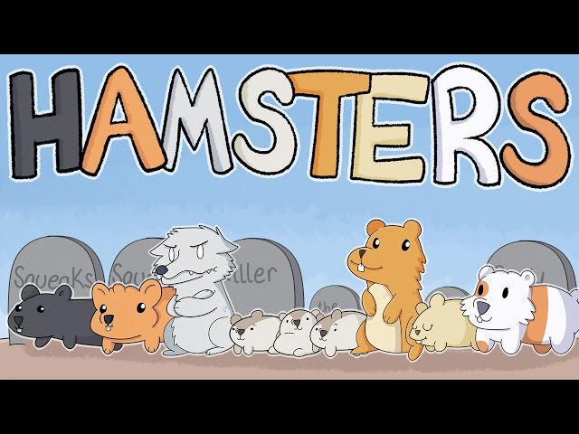 Our Hamsters