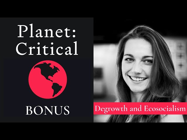 Degrowth and Ecosocialism | Bonus