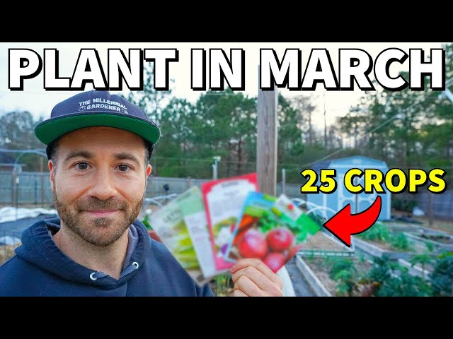 25 Veggies You Can Plant In March RIGHT NOW!