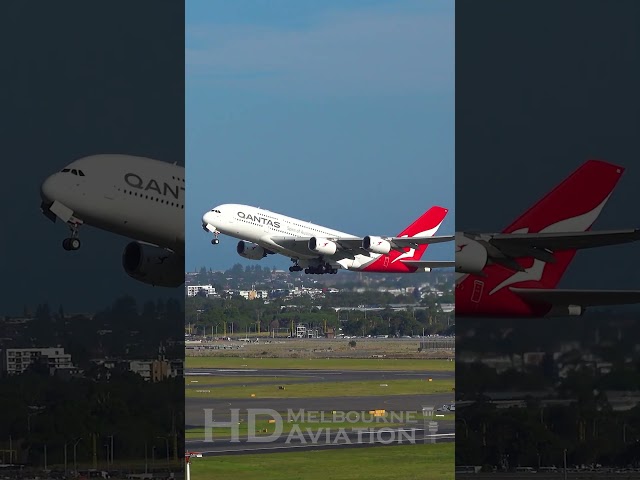 Qantas Airbus A380-800 Takeoff at Sydney Airport [SYD/YSSY] #shorts