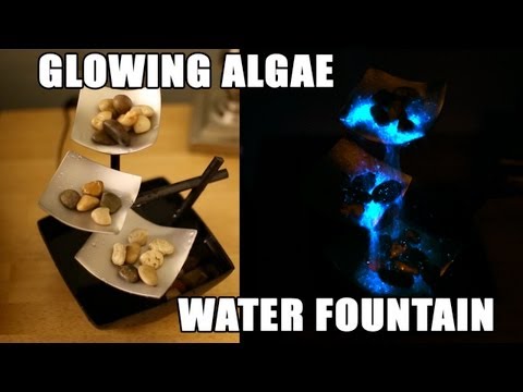 Glowing Algae Water Fountain
