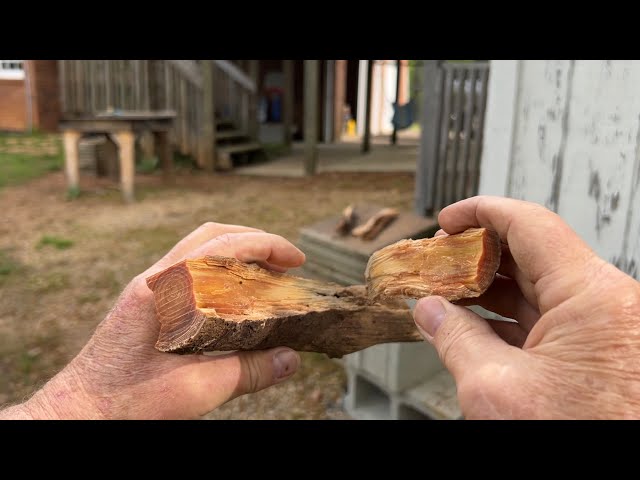 How To Access The Rich Fatwood Core Of A Pine Knot w/o Tools