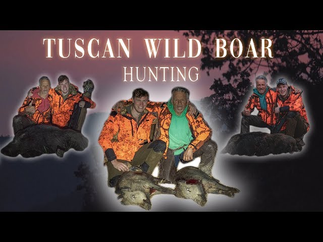 Wild Boar Hunting in Tuscany