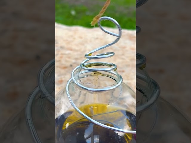 Light bulb to oil lamp! ⛺️ Easy camping hack 💡