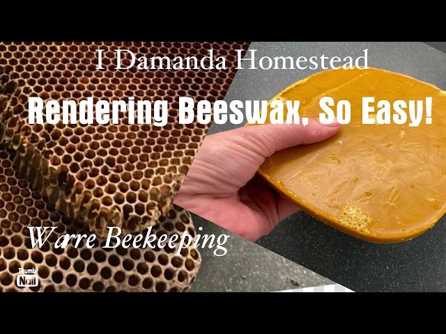 Rendering Beeswax, So Easy!