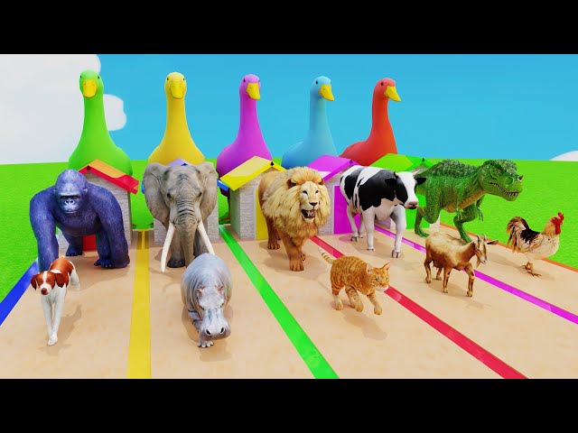 Duck Cartoon vs Cow vs Elephant vs Gorilla Fountain Crossing Game Choose The Right Game Wild Animals