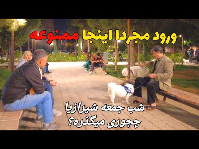 Shiraz Is a Great City!!! NightLife of Luxury Iranian Girls and Boys  IRAN ایران
